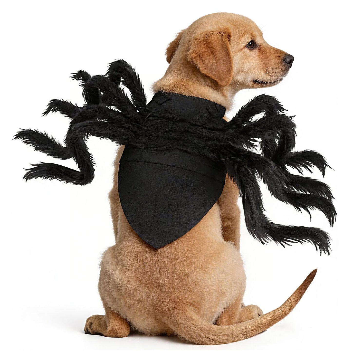 ️🕷️Halloween spider-themed pet costume, Halloween pet decoration and accessories