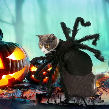 ️🕷️Halloween spider-themed pet costume, Halloween pet decoration and accessories