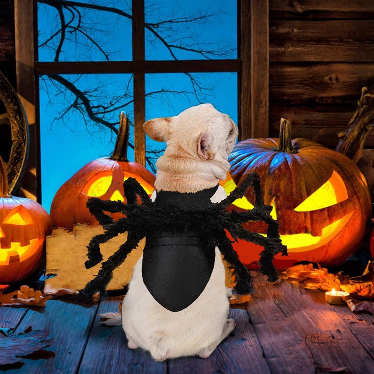 ️🕷️Halloween spider-themed pet costume, Halloween pet decoration and accessories