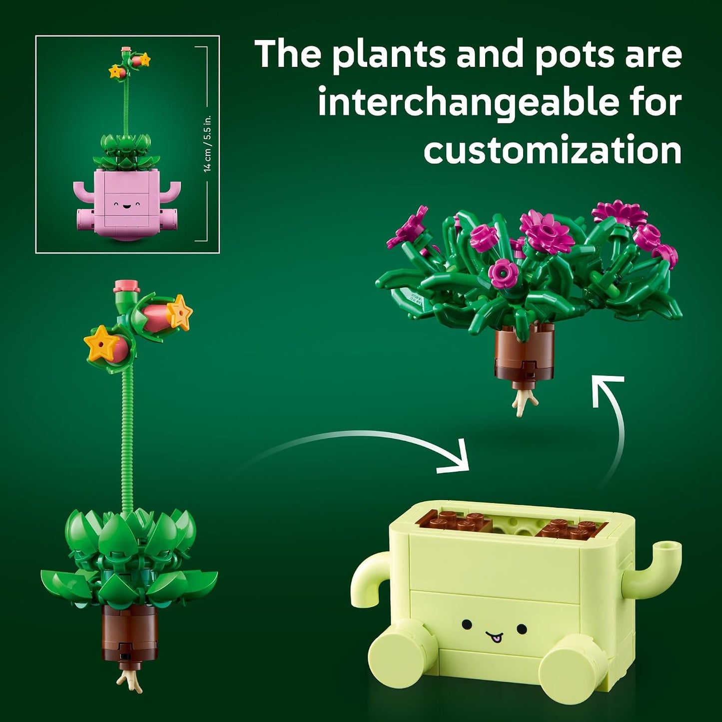 Botanicals Rocking Plants - Building Toy for Kids, Girls & Boys, Ages 9+ - Decor for Dorm Desk or Shelf - Housewarming Gift Ideas