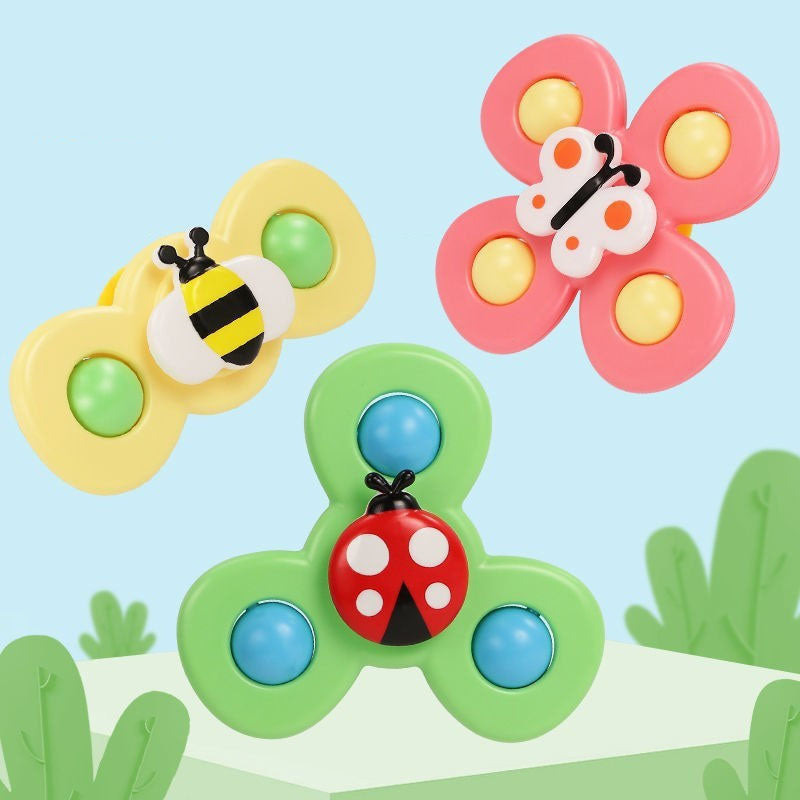 Insect