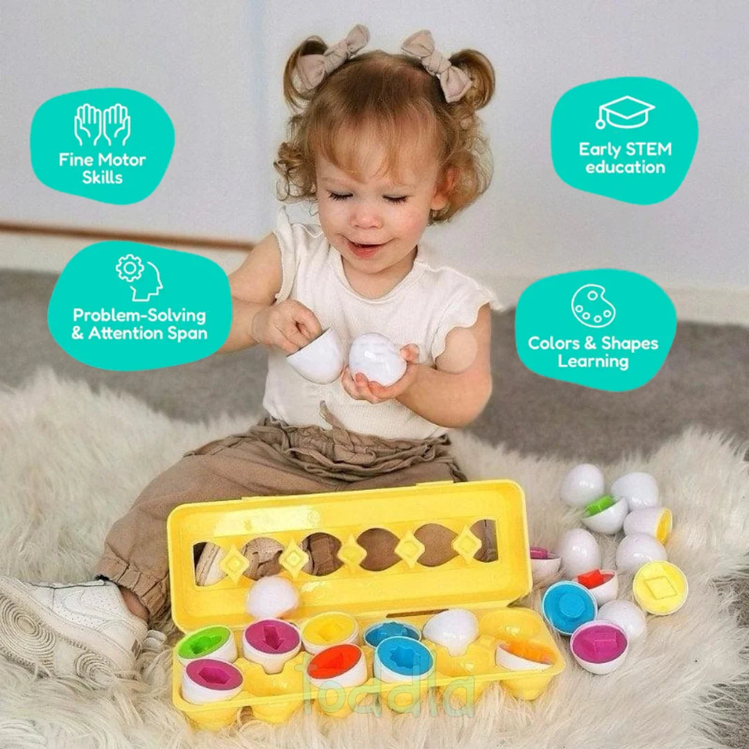 Kaiwatoy® Montessori Geometric Eggs